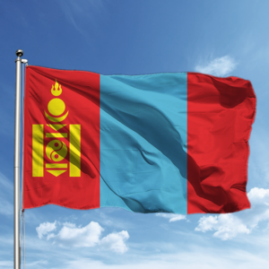 Moğol Çalışma İzni Nasıl Alınır ?