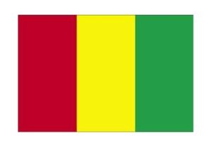 Gine Vatandaşı Çalışma İzni Nasıl Alınır ?