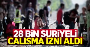 Suriyeli Çalışma İzinlerinde Gerekli Evraklar