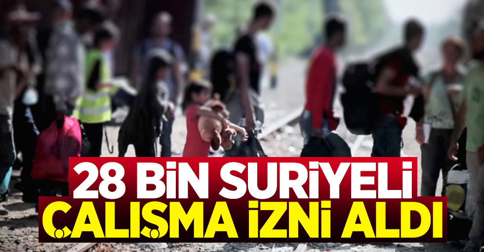 Suriyeli Çalışma İzinlerinde Gerekli Evraklar