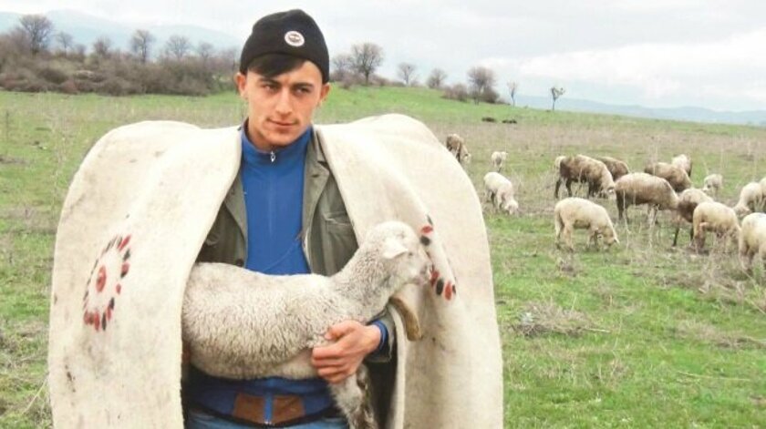 Afgan Çoban Çalışma İzni