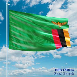 Zambiya Vatandaşı Çalışma İzni Nasıl Alınır ?